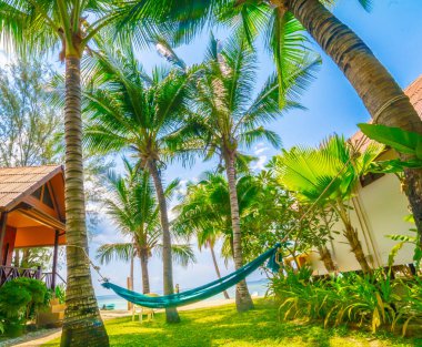 Güzel sahil. Sahildeki iki palmiye ağacının arasındaki hamak. Tatil ve tatil kavramı