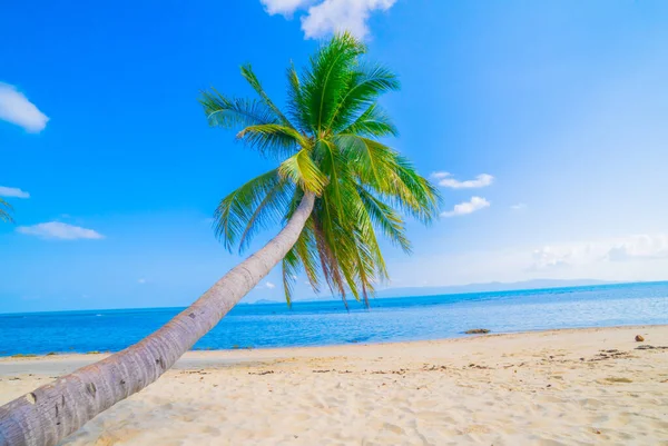 Hermosa Playa Vista Bonita Playa Tropical Con Palmeras Alrededor Concepto —  Fotos de Stock