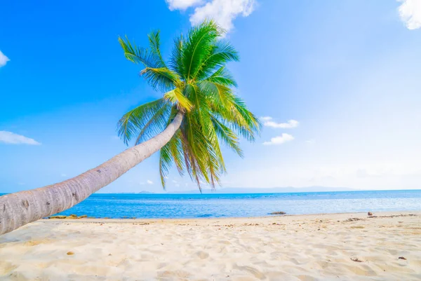 Prachtig Strand Uitzicht Mooi Tropisch Strand Met Palmen Rondom Vakantie — Stockfoto