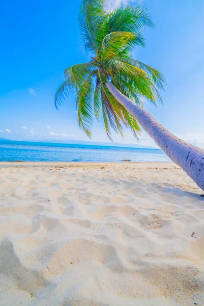 Prachtig Strand Uitzicht Mooi Tropisch Strand Met Palmen Rondom Vakantie — Stockfoto
