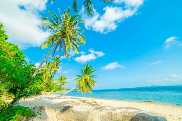 Vacker Tropisk Strand Sommar Natur Strand Blå Himmel Och Palmer — Stockfoto