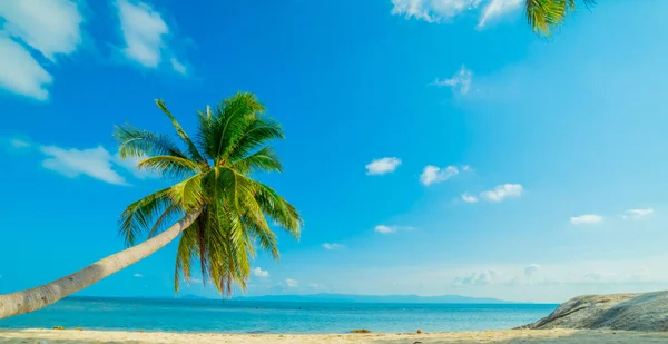 Hermosa Playa Soleada Vista Bonita Playa Tropical Con Palmeras Alrededor —  Fotos de Stock