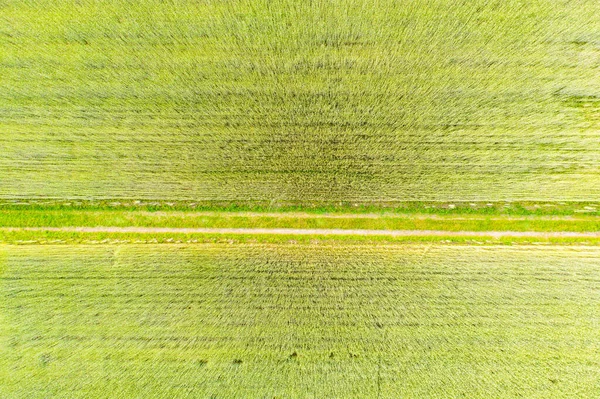 Photo Aérienne Drone Volant Une Terre Avec Des Champs Verts — Photo