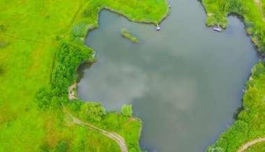 Çam ağaçlarıyla çevrili doğal göl manzarası 