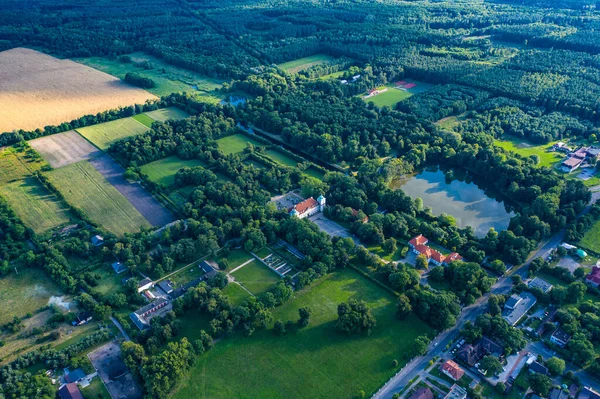 Hermosa Avenida Árboles Del Palacio Nieborow Una Residencia Estilo Barroco — Foto de Stock