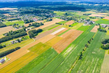 Zirai tarlalardan oluşan hava manzarası. Aydınlık bir yaz gününde ekinlerle sürülmüş.