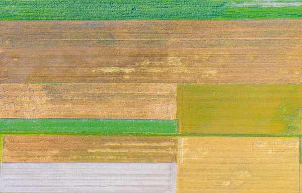 Abstracte Geometrische Vormen Van Landbouwpercelen Van Verschillende Gewassen Gele Groene — Stockfoto