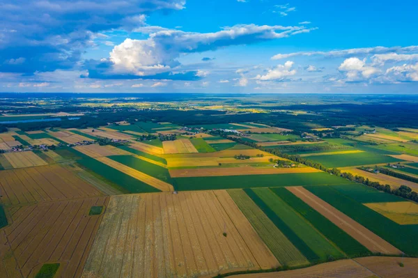 Abstracte Geometrische Vormen Van Landbouwpercelen Van Verschillende Gewassen Gele Groene — Stockfoto