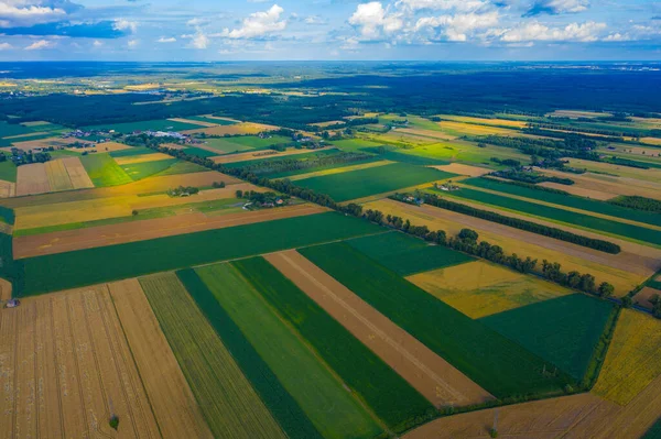 Farklı Sarı Yeşil Renkli Tarımsal Ürünlerin Soyut Geometrik Şekilleri Hava — Stok fotoğraf