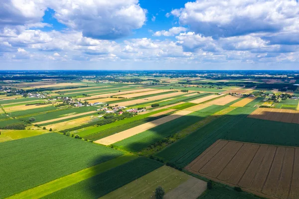 Aerial Jordbrukslandskap Stort Fält Redo Att Skörda Flygfoto — Stockfoto