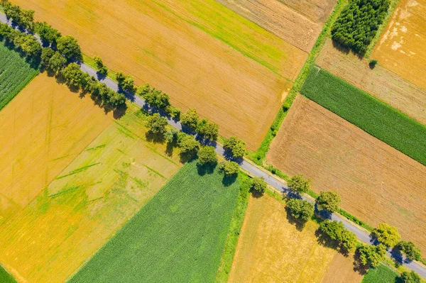 Green Fields Aerial View Harvest Summer Road Aerial — Stock Photo, Image