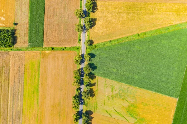 Green Fields Aerial View Harvest Summer Road Aerial — Stock Photo, Image