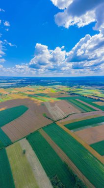 Panoramik Uçsuz bucaksız yeşil alan görüntüsü - Tarım alanı hava fotoğrafı - Yeşil arazi drone fotoğrafı