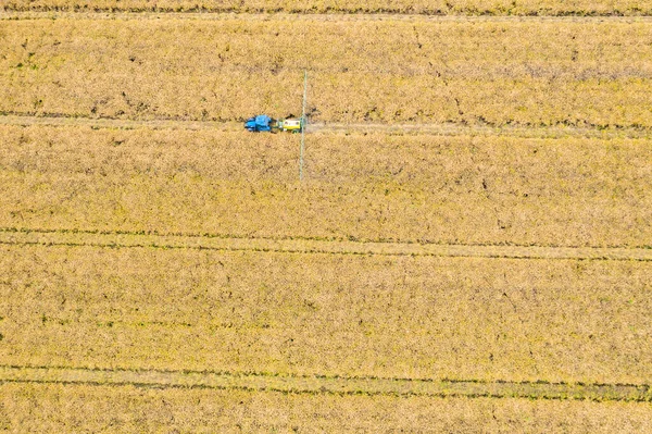 Aerial top view photo from flying drone of a land with sown green fields in countryside in spring day. Land with grown plants of paddy