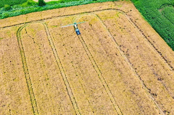 Aerial Top View Photo Flying Drone Land Sown Green Fields — Stock Photo, Image