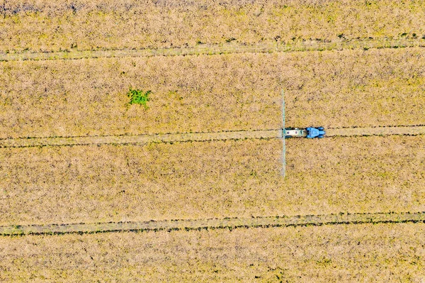 Снимок Высоты Птичьего Полета Беспилотника Земли Посеянными Зелеными Полями Сельской — стоковое фото