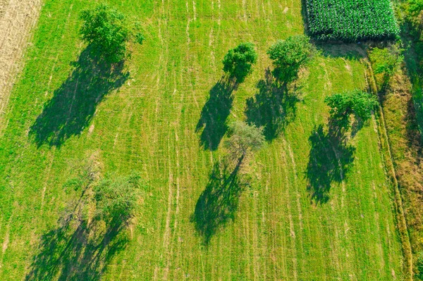 Vista Aérea Dos Campos Agrícolas Europa Polónia Bela Paisagem Capturado — Fotografia de Stock