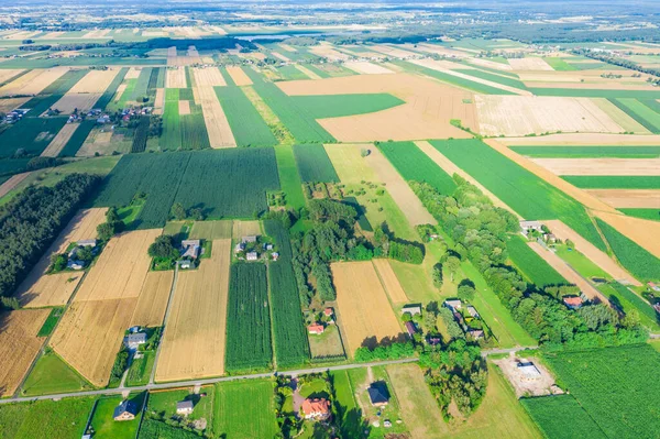 Vue Aérienne Des Champs Agricoles Europe Pologne Beau Paysage Capturé — Photo