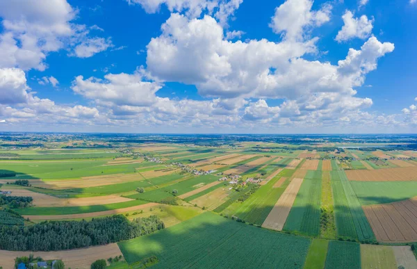 Panoramisch Uitzicht Vanuit Lucht Landbouwveld Luchtfoto Groene Landschappen Drone Foto — Stockfoto