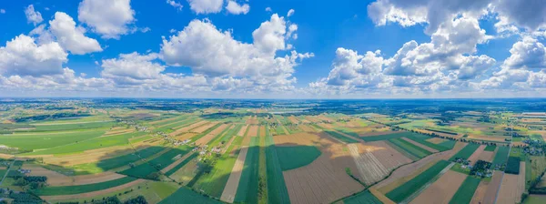 Panoramic Aerial vast green field view - Agriculture field aerial photo - Green landscapes drone photo