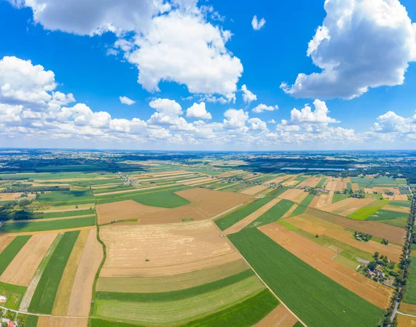 Vacker Panoramautsikt Foto Från Flygande Drönare Till Ängen Med Maskrosor — Stockfoto