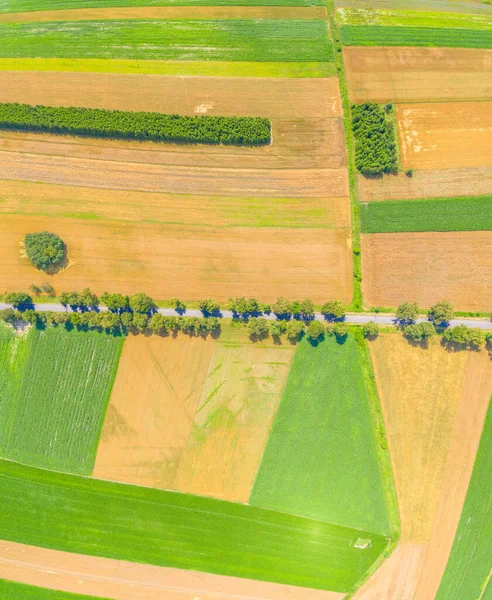 Vue Aérienne Paysage Estival Champ Agricole Verdoyant Avec Chemin Terre — Photo