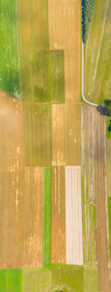 Vista Aérea Paisagem Verão Campo Agrícola Verde Com Uma Estrada — Fotografia de Stock