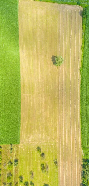 Top Aerial Panoramic View Green Fields Meadows Summer Abstract Landscape — Stock Photo, Image