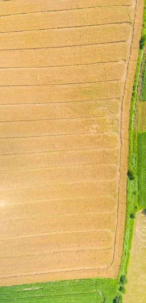 Vue Panoramique Aérienne Supérieure Sur Les Champs Verts Les Prairies — Photo