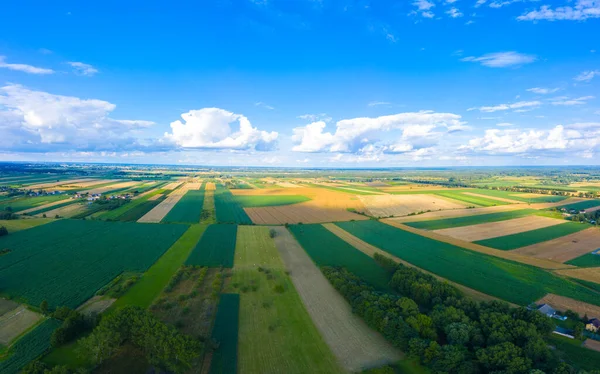 Panorámás Légi Kilátás Idilli Gördülő Patchwork Mezőgazdasági Terület Szép Erdős — Stock Fotó