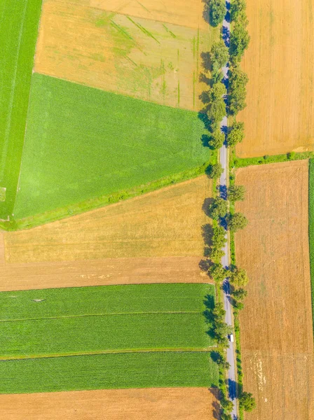 未舗装の道路と日没の森のベルトを持つ緑の農地の夏の風景の空中ビュー 鳥の目のようなコンピュータから撮影 フィールドの上にパノラマ写真 ドローンビュー — ストック写真