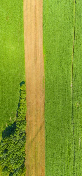 Top Aerial Panoramic View Green Fields Meadows Summer Abstract Landscape — Stock Photo, Image