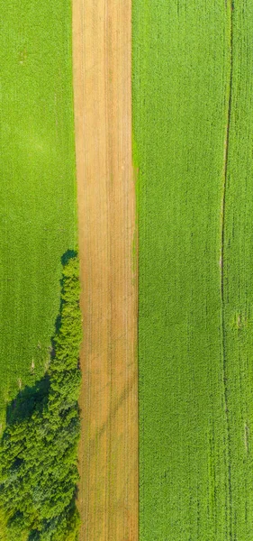 夏季绿地和草地的高空全景 阳光普照的天空和茂密的树叶交织在一起的风景 无人驾驶飞机的景观 — 图库照片