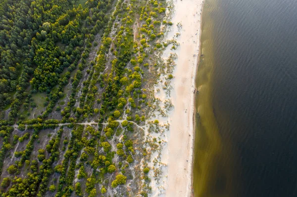 Baltık Denizi Nde Saydam Turkuaz Deniz Manzarası Deniz Manzarası Plaj — Stok fotoğraf