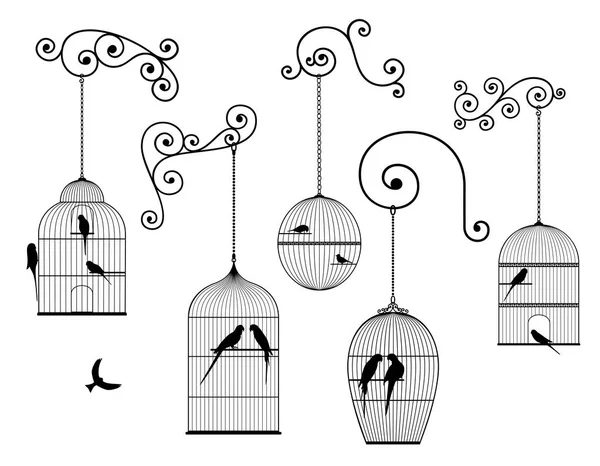Ensemble Vectoriel Contours Antiquités Cages Oiseaux Suspendues Oiseaux Domestiques Couleur — Image vectorielle