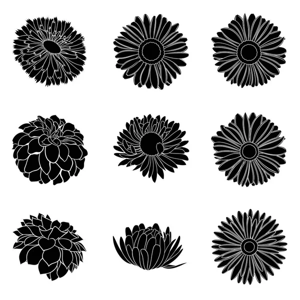 Conjunto Vectorial Varias Siluetas Detalladas Realistas Capullos Flores Color Negro — Archivo Imágenes Vectoriales