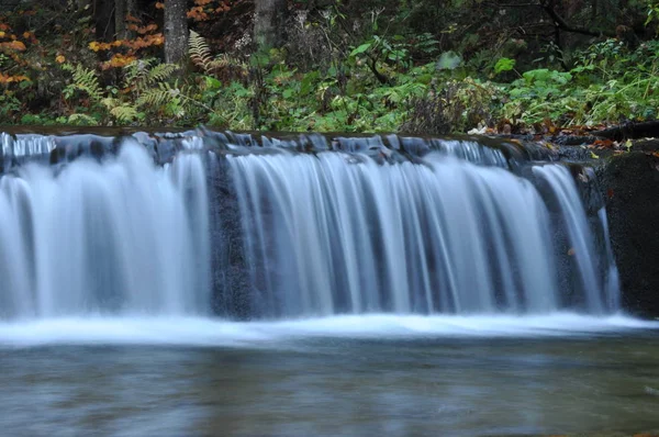 Bron Vistula Kristallijn Stream Schoon Water Waterval — Stockfoto