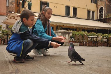 Venedik, bir yaya Caddesi üzerinde çocuklar tarafından ekmek kırıntısı beslenen güvercinler.