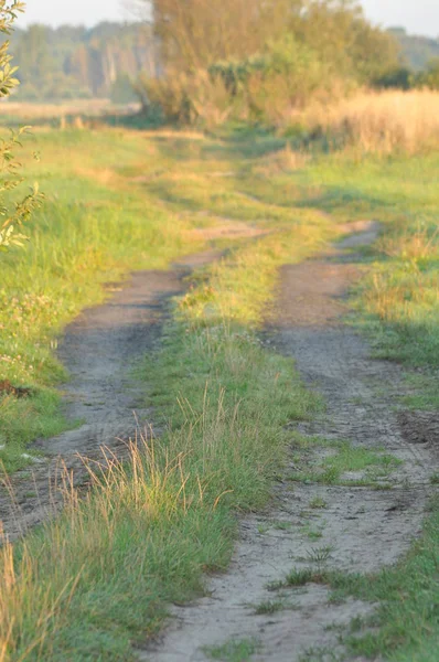 Country Road Wet Meadows Sunny Morning Swamp Sunrise — Stock Photo, Image