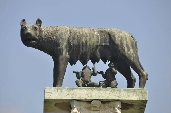 Romulus Remus Heykeli Ile Kendi Süt Besleyen Capitol Kurt — Stok fotoğraf