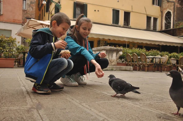 Duiven Gevoed Door Kinderen Een Voetgangersstraat Venetië Kruimels Van Brood — Stockfoto