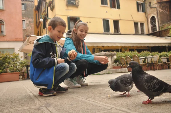 Venedik, bir yaya Caddesi üzerinde çocuklar tarafından ekmek kırıntısı beslenen güvercinler.