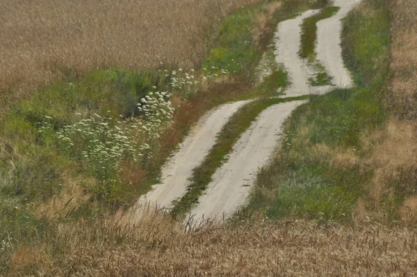 Eine Landstraße Durch Ackerland Sandigen Hügeln Auf Dem Weg Landschaft — Stockfoto