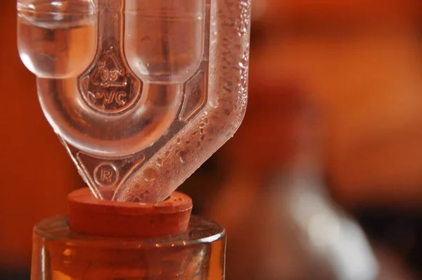 Şarap sürahi. Üretim kazanacak. Süreç fermantasyon.