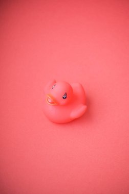 İzole edilmiş şeftali rengi oyuncak ördek aynı renk arka planda