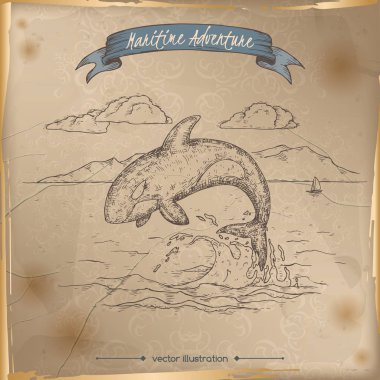 Balina kroki atlama. Deniz adveture serisi.