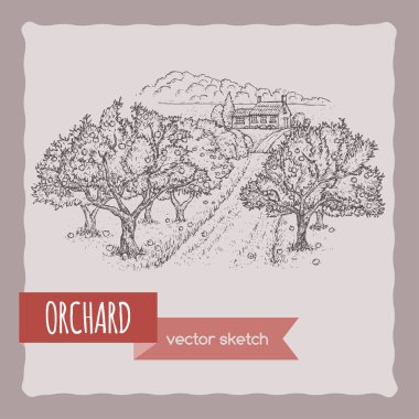 Çiftlik evi ve Bahçesi vektör kroki.