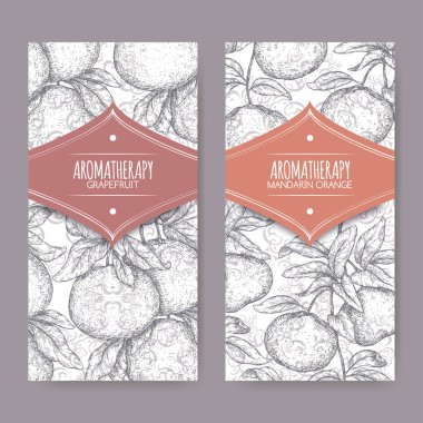 Narenciye sonat sahip iki etiketi aka greyfurt ve narenciye reticulata aka mandalina zarif dantel özgeçmişlerine kroki.