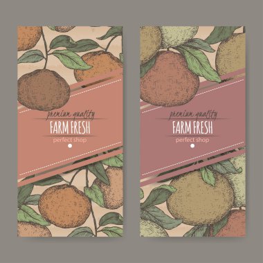 İki etiket karton üzerine mandalina ve greyfurt renk kroki ile.