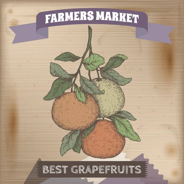 Etiqueta de mercado famosa con dibujo de color rama de pomelo sobre fondo de madera . — Archivo Imágenes Vectoriales